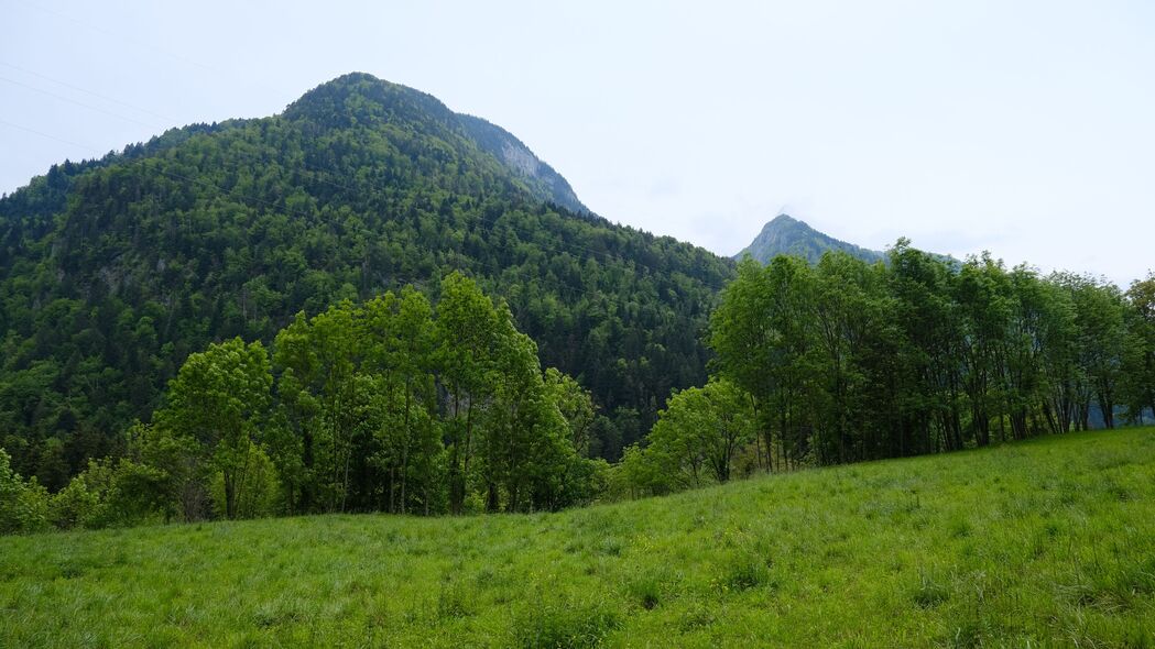 山峦树影草原美景，4K超高清田野壁纸3840x2160免费下载