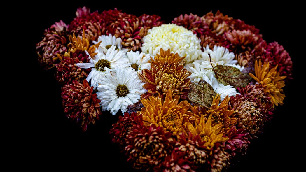 黑色背景高清4K壁纸，绚丽花朵、精致花蕾与优雅花束，3840x2160分辨率，免费下载