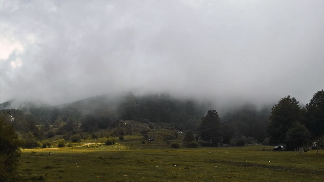 雾绕草地树木间，绝美4K风景壁纸，3840x2160高清下载