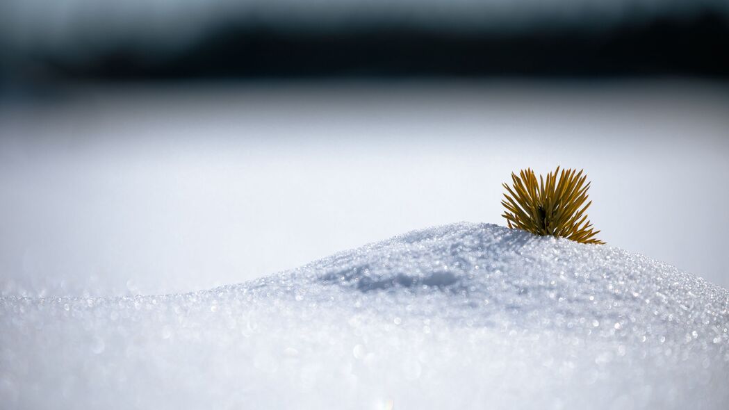 极简雪山冬景，高清4K白色背景壁纸，3840x2160分辨率，免费下载