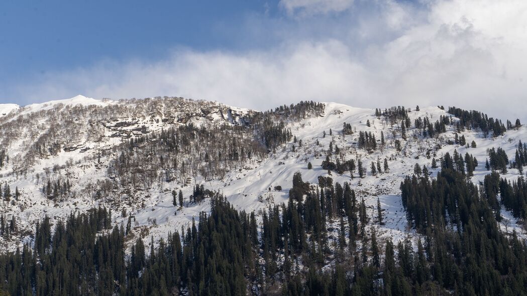 山景雪景4K壁纸，树木斜坡高清美景，3840x2160分辨率下载