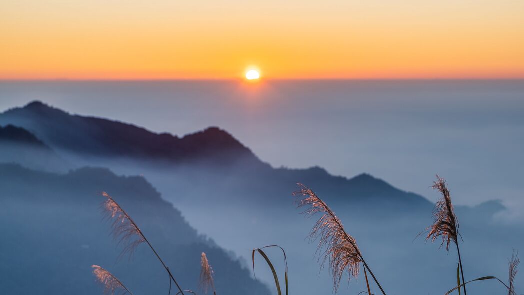 草丘雾绕迎日出，绝美地平线4K壁纸，高清3840x2160免费下载