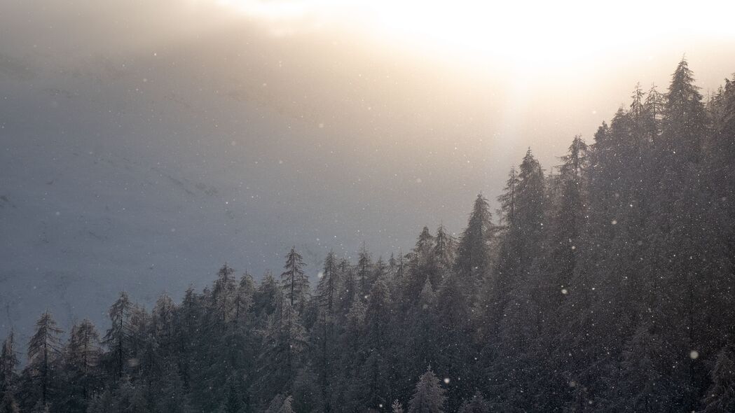 森林雪雾景致，树木如画4K超清壁纸，3840x2160高清下载