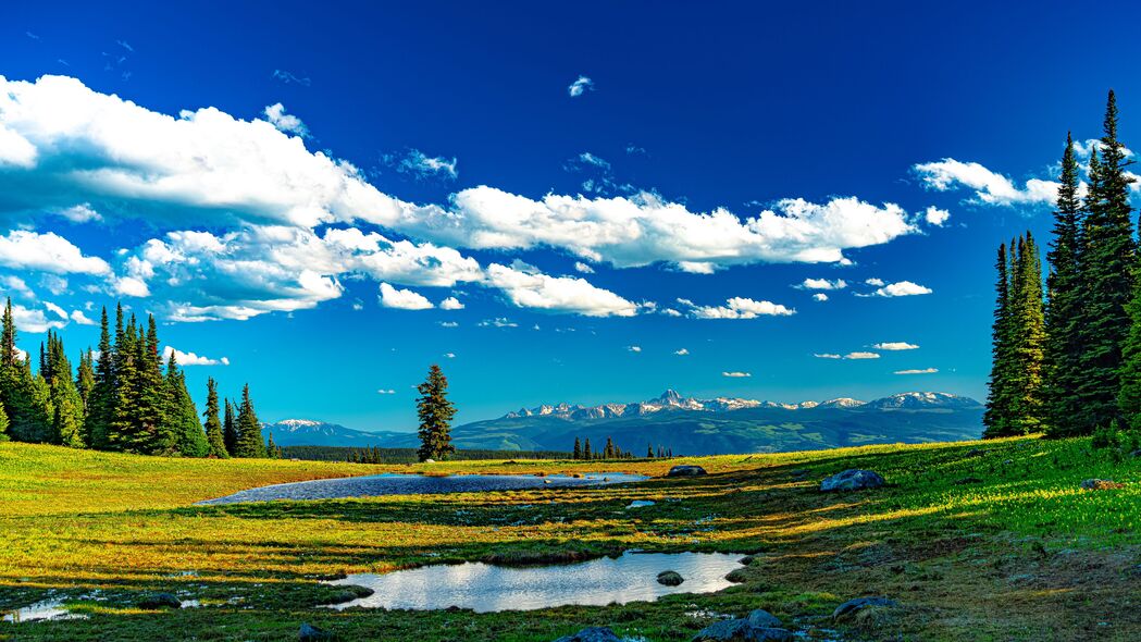树木草地水草美景，4K超高清3840x2160壁纸免费下载