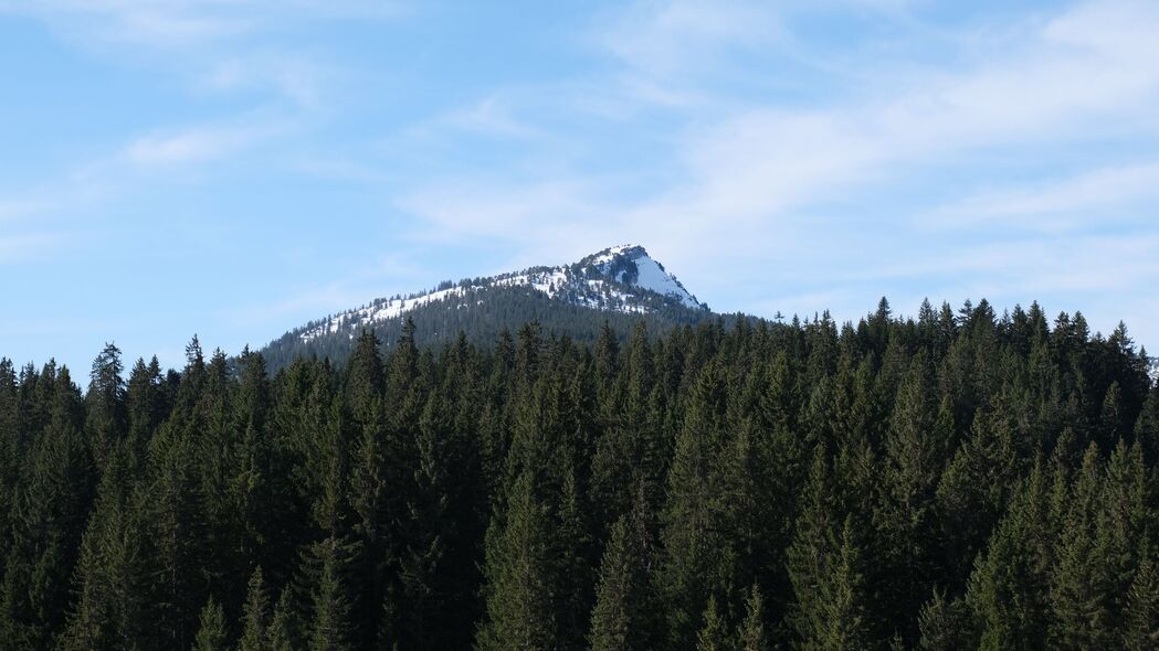 山雪树林4K超清风景壁纸，3840x2160高清下载，领略自然之美