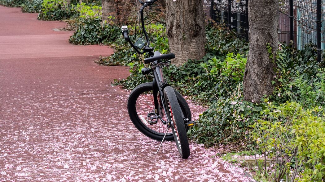 春天小径自行车行，花瓣飘落林间，绝美4K高清壁纸3840x2160下载