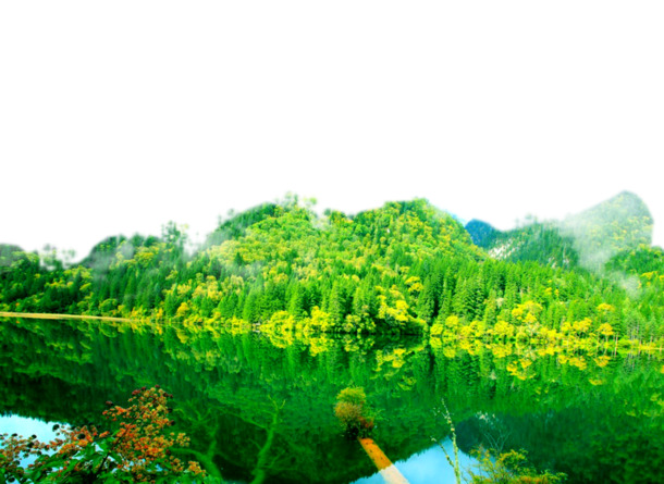 九寨沟湖光森林美景，高清PNG透明背景图片素材，免费下载