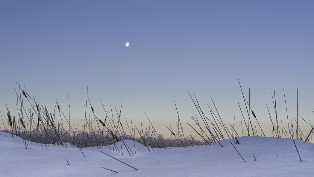 雪夜月影，绝美4K高清壁纸，3840x2160分辨率，草色月光尽在其中