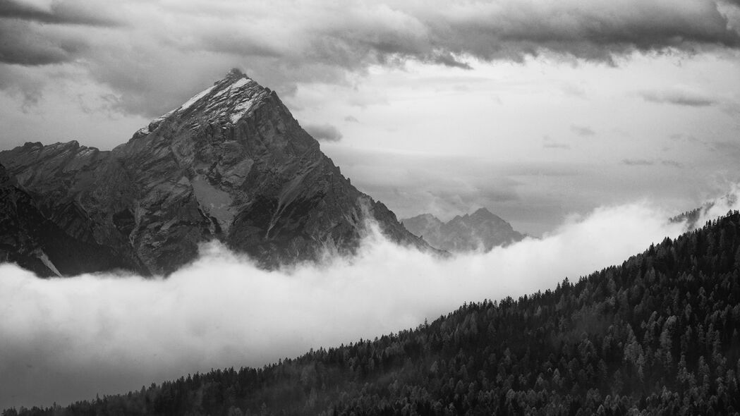森林山云树景，黑白艺术呈现，4K超清壁纸，3840x2160高清下载