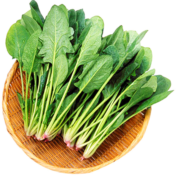 【免费下载】美味菠菜高清PNG透明图片，免抠元素，丰富设计素材一网打尽！