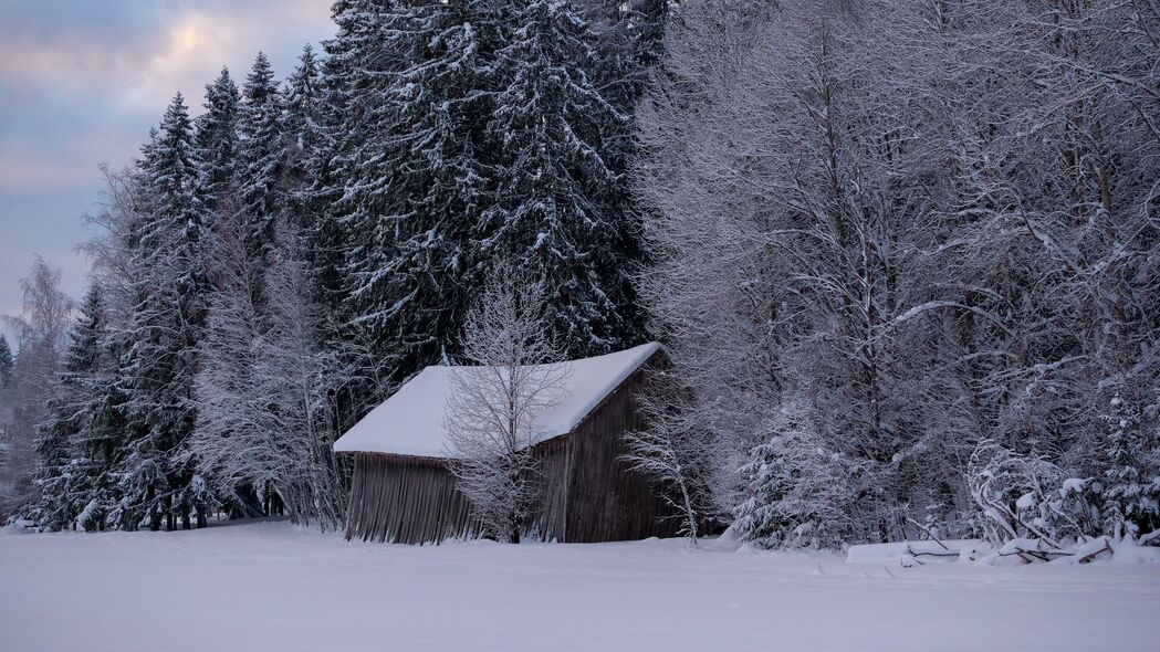 冬日森林雪景小屋，自然美景4K壁纸，超清3840x2160高清图片下载