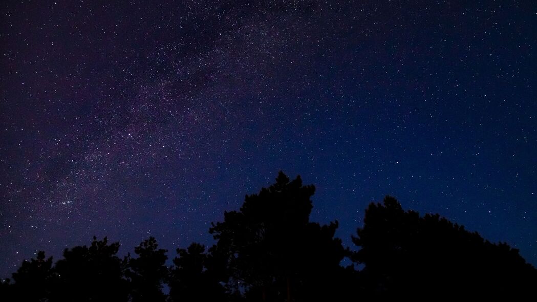 夜晚剪影之树，乳白色星光4K壁纸，高清3840x2160背景图片下载