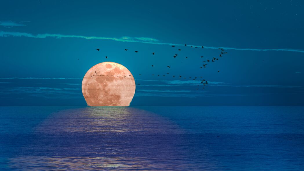 绝美夜景，月亮映照大海，鸟类翩跹，超清4K壁纸（3840x2160）高清下载