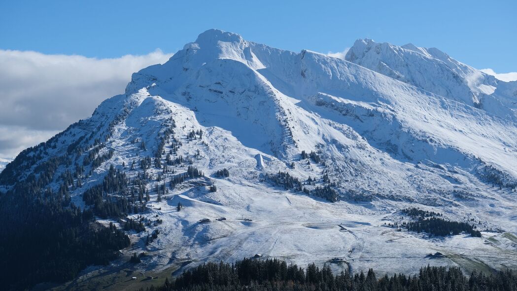 山坡雪景树影绝美景观，4K高清壁纸下载，3840x2160分辨率