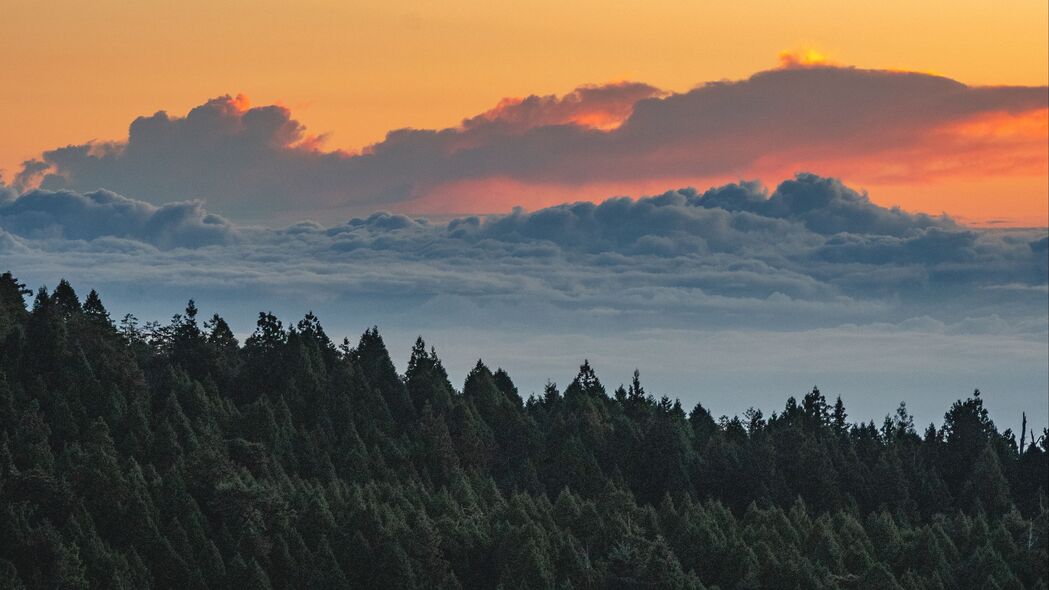 森林云天，自然之美，超高清4K风景壁纸，3840x2160分辨率免费下载
