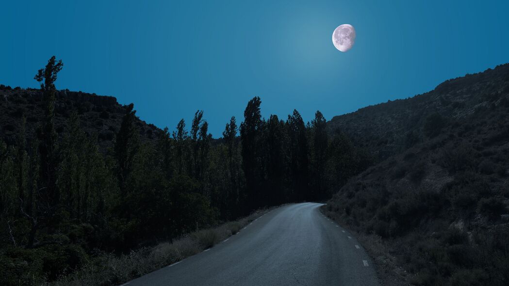 高清4K壁纸，夜间道路与月光下的树木，超清3840x2160分辨率