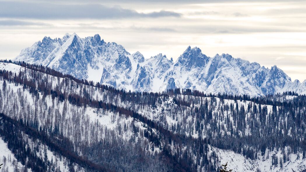 冬日山脉雪景4K壁纸，高清树木斜坡风光，3840x2160超清下载