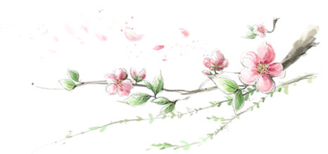 粉色古风桃花树枝PNG透明图片，简约装饰元素，高清植物设计素材下载