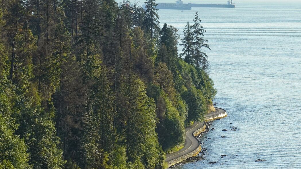 道路延伸，路堤静谧，树木葱茏，海洋壮阔——绝美4K风景壁纸，3840x2160高清下载