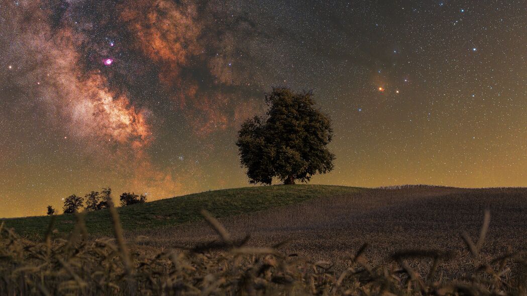 树草交织银河夜，星光璀璨4K壁纸，高清3840x2160背景图片下载