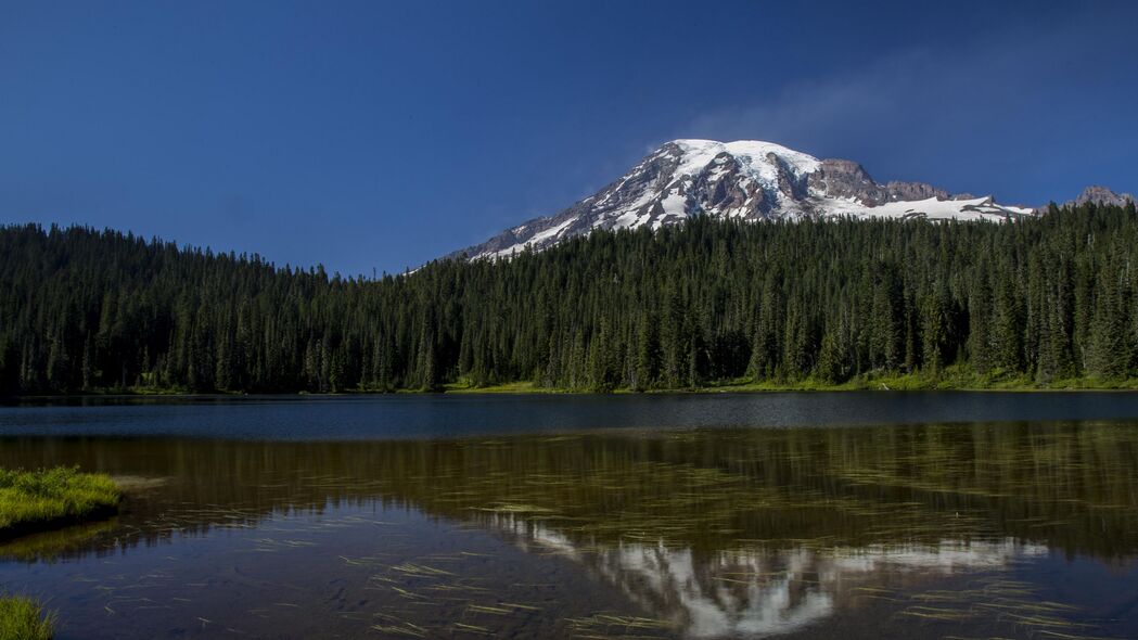 山湖森林4K高清壁纸，自然树木美景，3840x2160超清下载