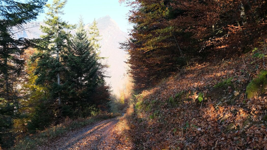 秋日山路美景，高清4K树叶壁纸，3840x2160分辨率免费下载