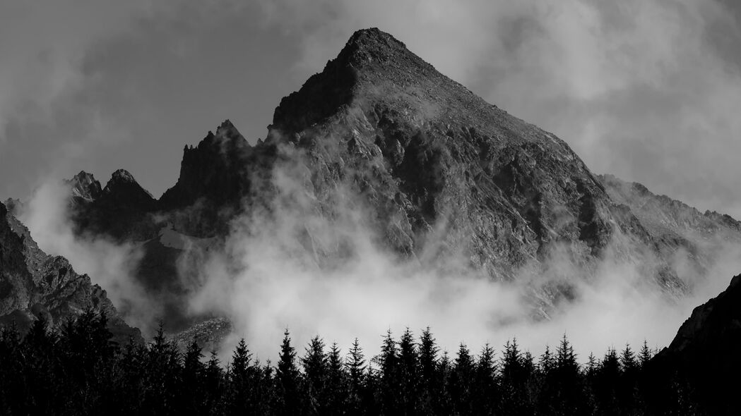 山雾缭绕树影婆娑，4K超清黑白壁纸，3840x2160高清下载