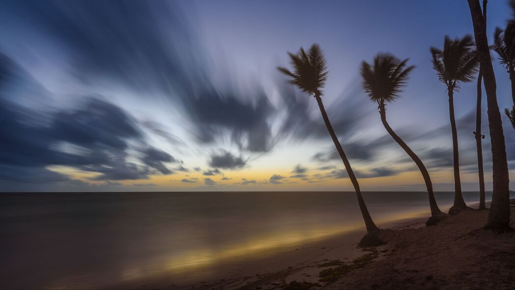 热带棕榈黄昏美景，4K超高清大海海滩壁纸，3840x2160分辨率畅享云与天空之韵