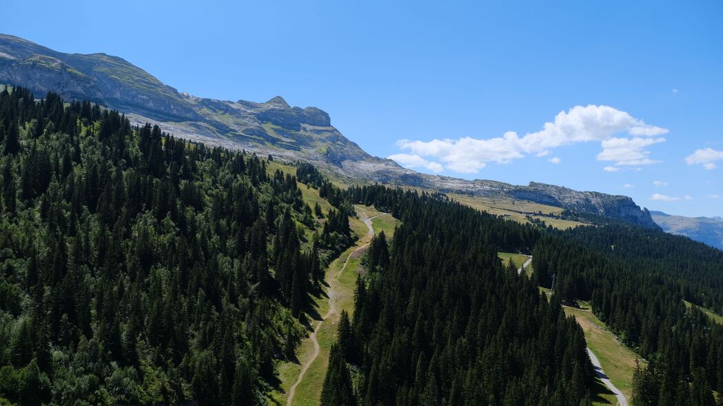 小径树木山景，绝美4K高清壁纸，3840x2160分辨率，免费下载