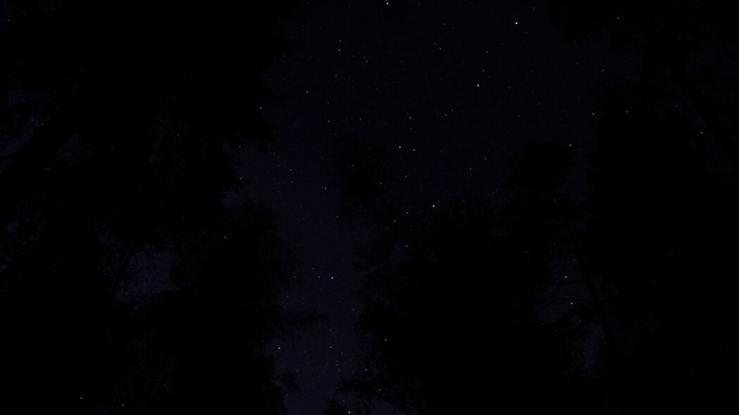 夜色树木映衬星空，深邃天空4K壁纸，高清3840x2160背景图片下载