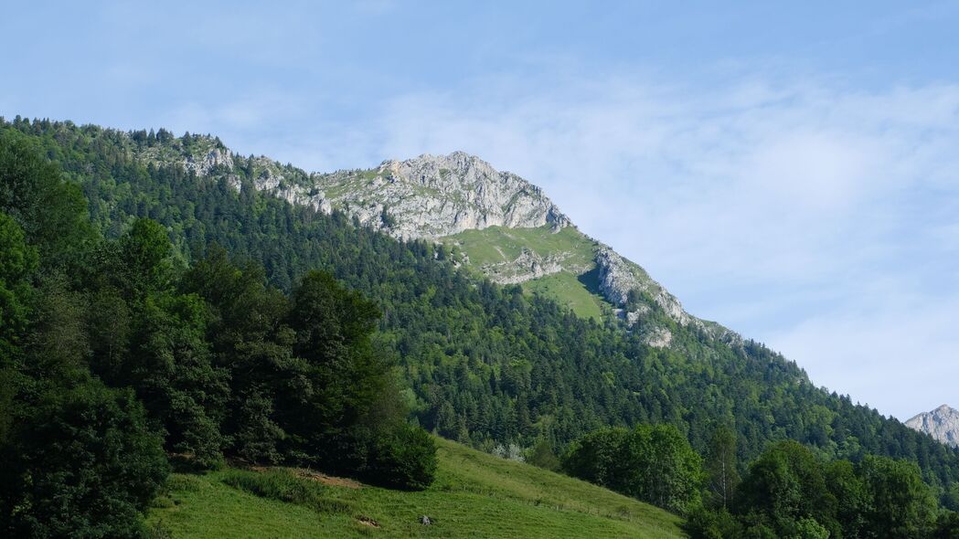 4K高清壁纸，山峦斜坡与茂密森林，绝美风景尽在3840x2160分辨率