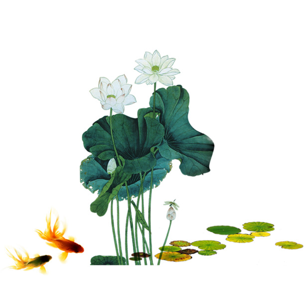 中国风水墨荷花荷叶手绘PNG素材，高清透明装饰元素下载