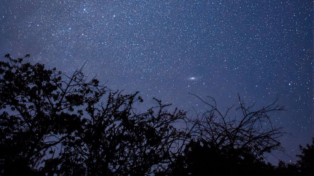 树枝剪影映星空，树木轮廓绘夜间——超清4K壁纸，3840x2160高清下载