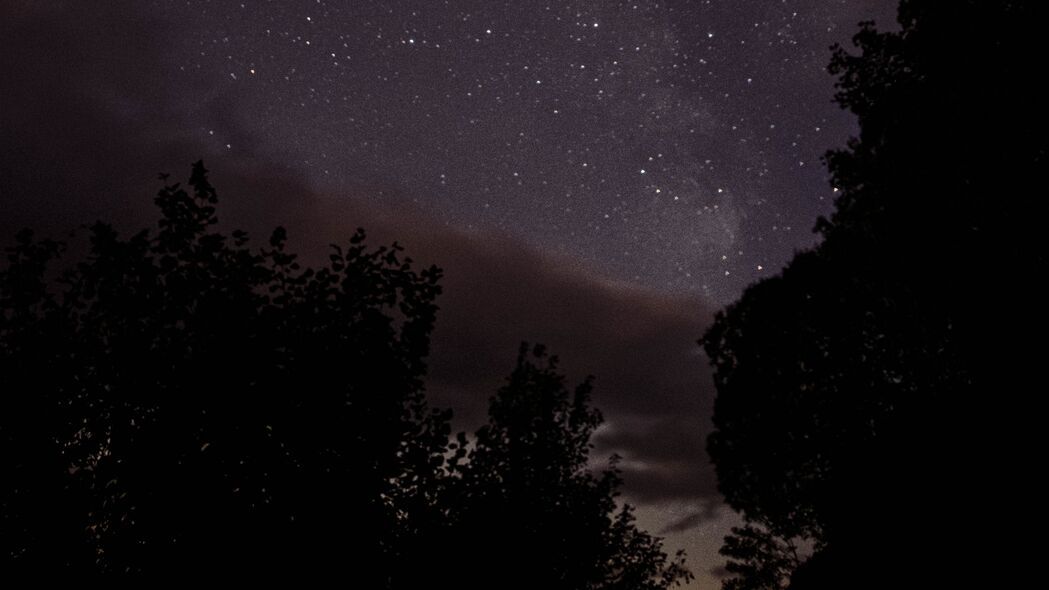 星空剪影，夜晚树木美景，超清4K壁纸3840x2160，高清背景图片下载