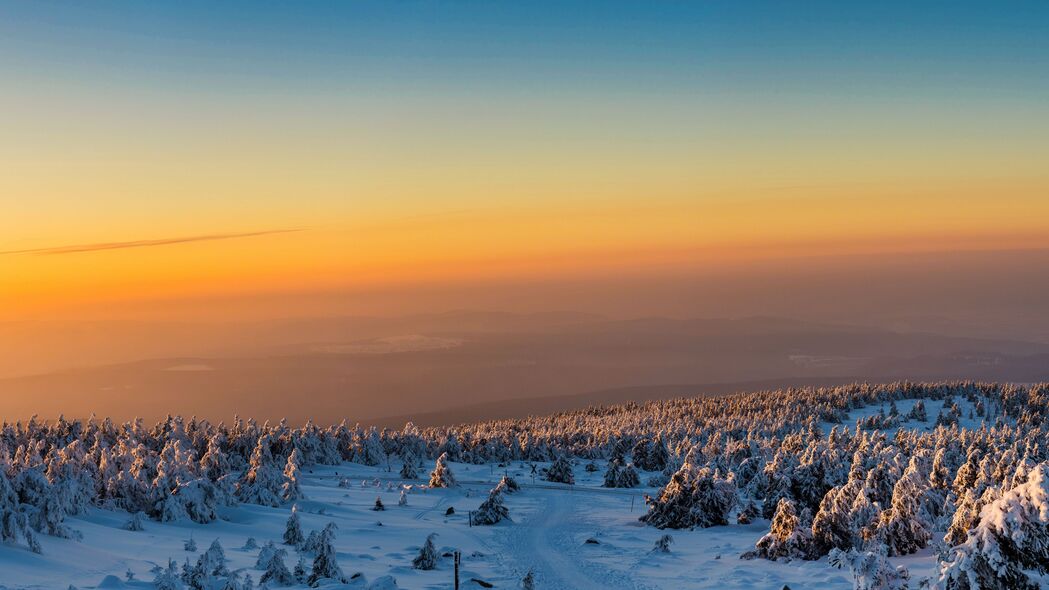 冬日雪景日出，森林树木4K高清壁纸，3840x2160超清大图免费下载
