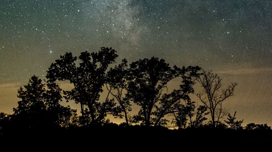 夜晚星空下的树木剪影，河流反射美景，高清4K壁纸下载