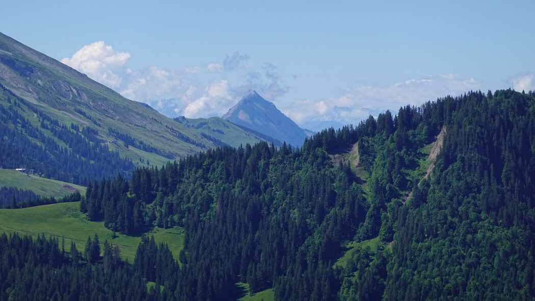 绝美山脉斜坡树木4K壁纸，高清3840x2160风景图片，一键下载