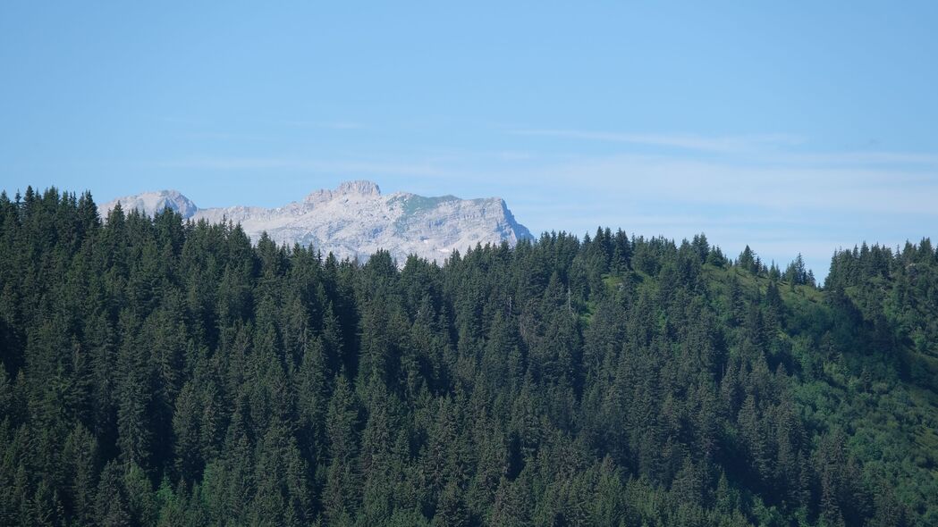 绝美森林山景，4K超清壁纸，3840x2160高清下载，树木绿意盎然