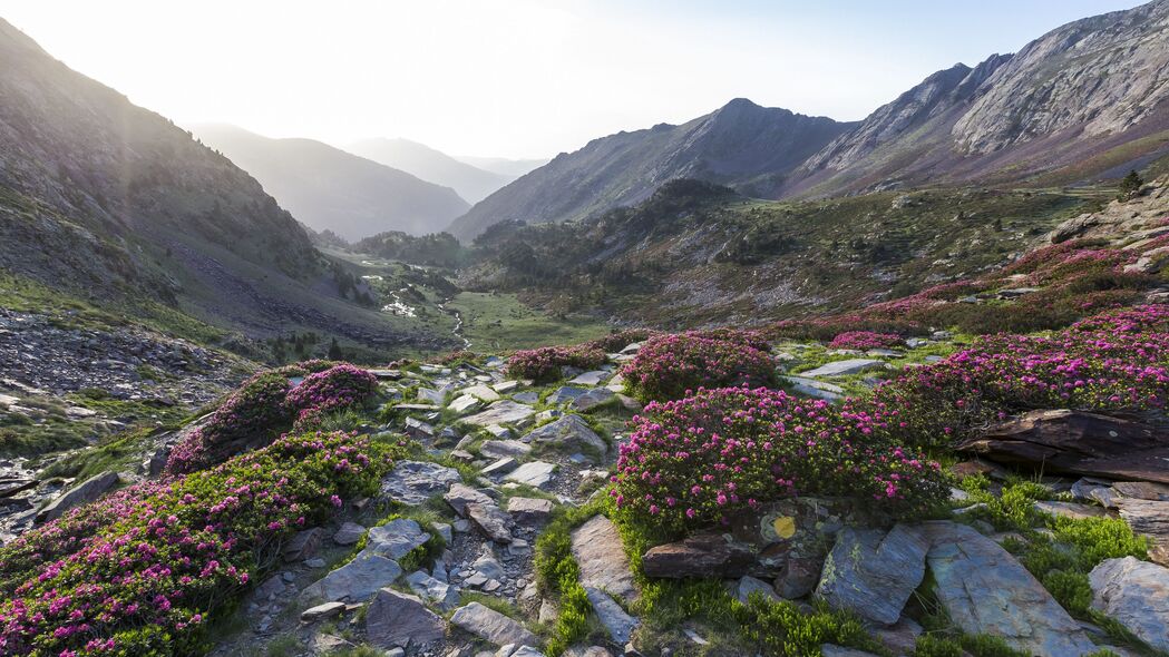山谷石花盛景，山脉4K高清壁纸，3840x2160超清下载