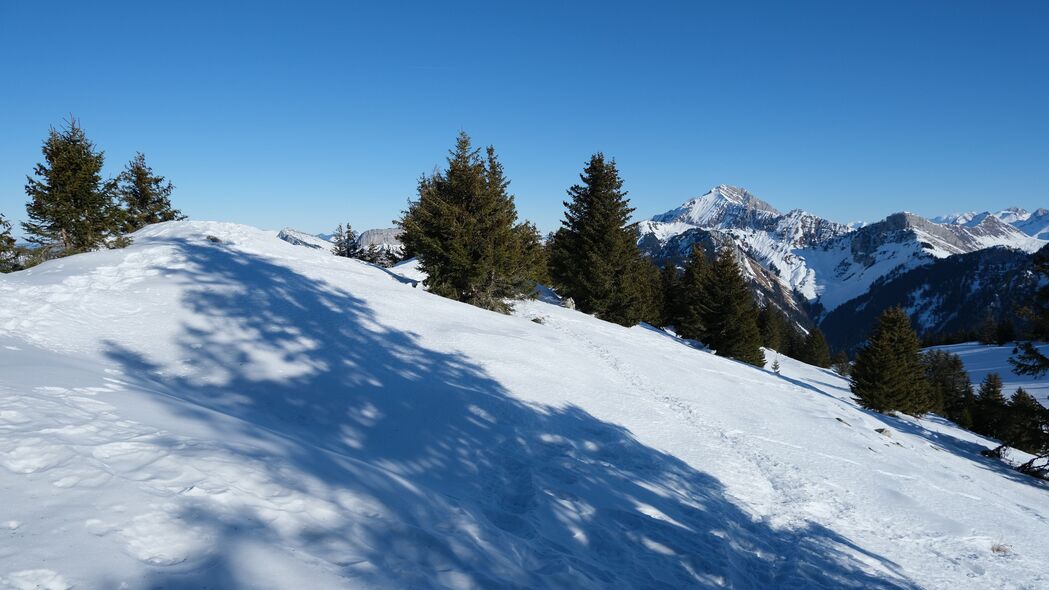 绝美斜坡雪景，树木葱郁山脉，4K超清壁纸，3840x2160高清风景图片下载