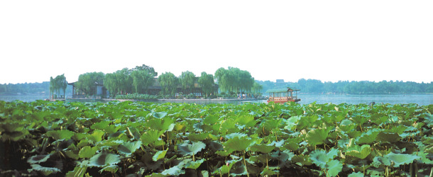 大明湖美景PNG透明背景图，风光摄影素材，高清下载