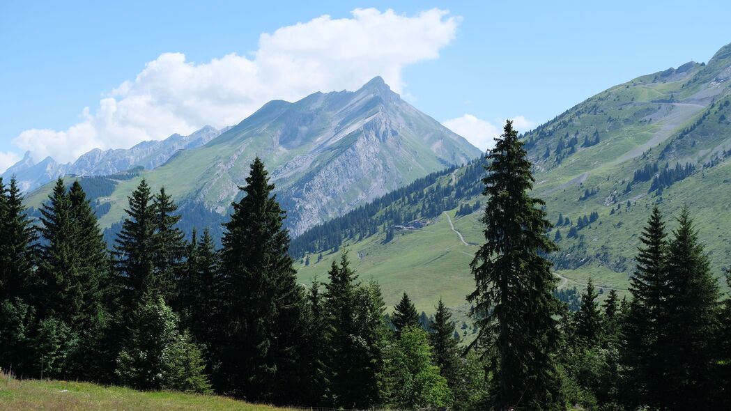 自然之美，山脉斜坡树木4K超清壁纸，3840x2160高清风景图片下载