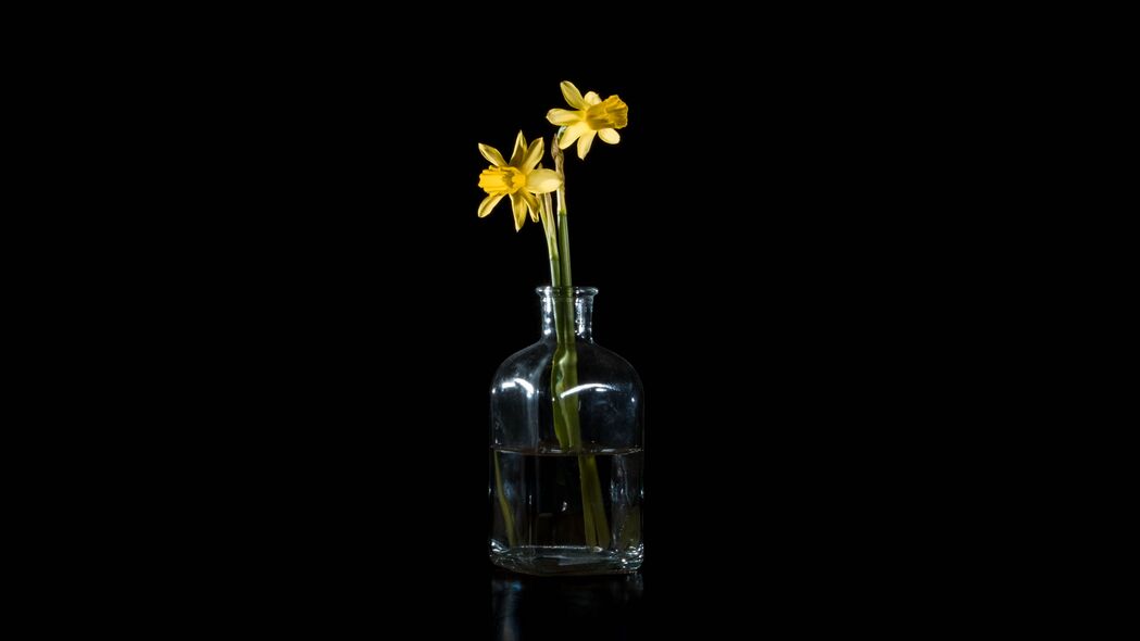 水仙花玻璃花瓶4K高清壁纸，3840x2160超清背景图片下载