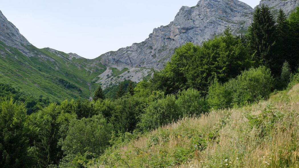 4K高清壁纸，斜坡草树山脉美景，3840x2160超清画质，免费下载