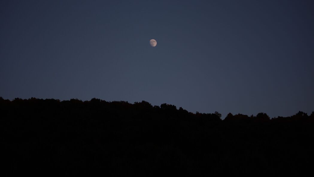夜晚月光下的树剪影，4K高清壁纸，3840x2160极致风景图片下载