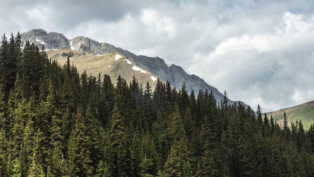 4K高清自然风景壁纸，树木繁茂森林，壮丽山脉美景，3840x2160分辨率免费下载
