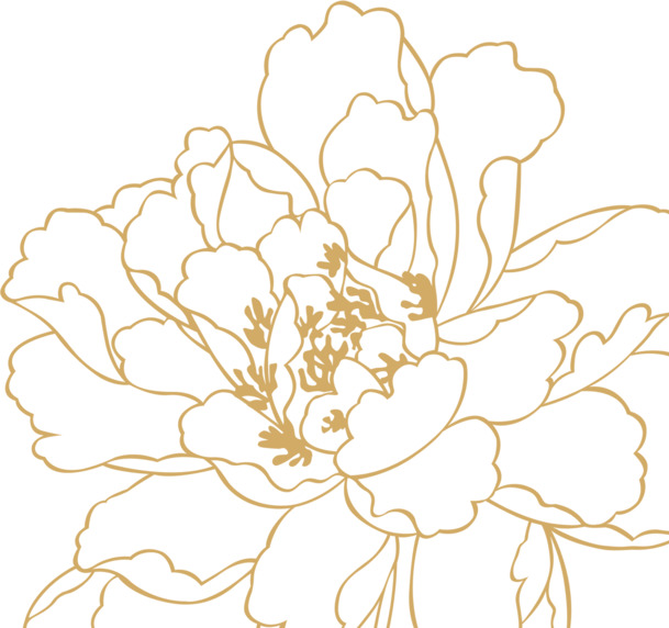 国庆节节日元素，高清摄影描边花形状PNG透明图片，设计素材免费下载