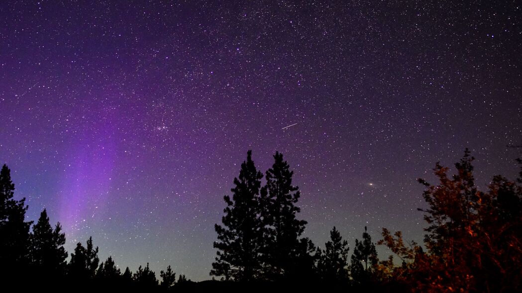 夜晚星空剪影，自然之美尽在眼前！4K高清壁纸，3840x2160分辨率，免费下载棵树剪影背景图片