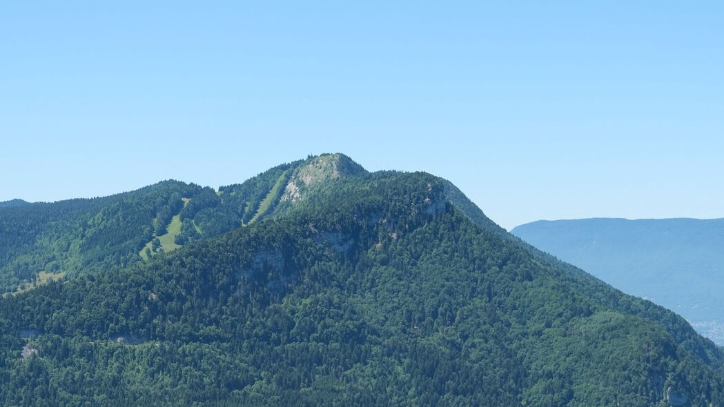 树影婆娑山坡景，森林秘境4K壁纸，高清3840x2160风景图片下载