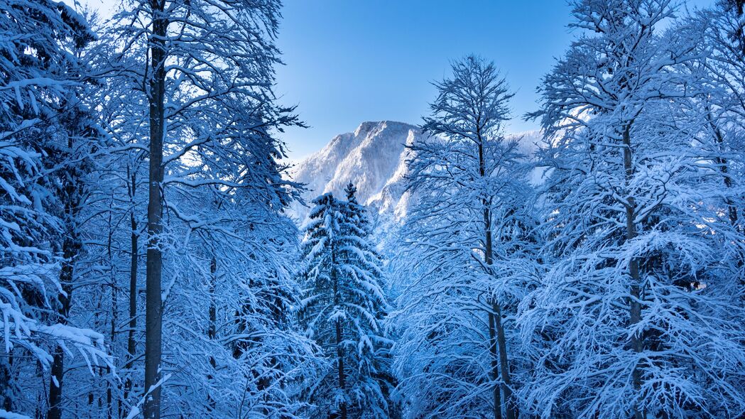 冬季雪景，高清4K树山风光壁纸，3840x2160超清下载